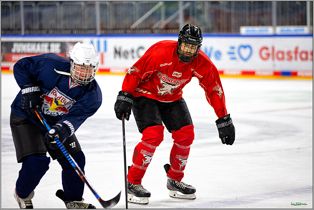 PENNY DEL; Koelner Haie- Red BUll Muenchen Sponsorenspiel; Koeln, 08.11.2022